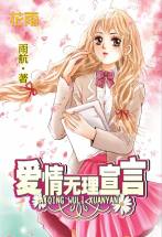 爱情无理宣言