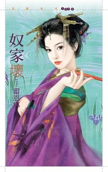 奴家壞