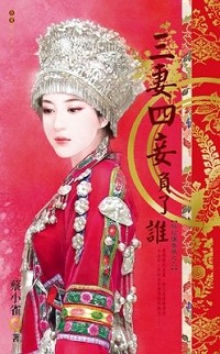 三妻四妾負了誰