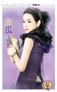 傻瓜