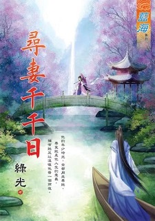 尋妻千千日(上)